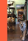 Taxidermy By Alexis Turner (Editor) Cover Image