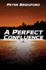 A Perfect Confluence By Peter Bridgford Cover Image